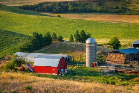 Planning a Homestead Image